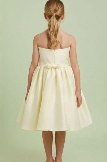 صورة فستان سهرة ليموني مع فينكه كبيره في الصدر